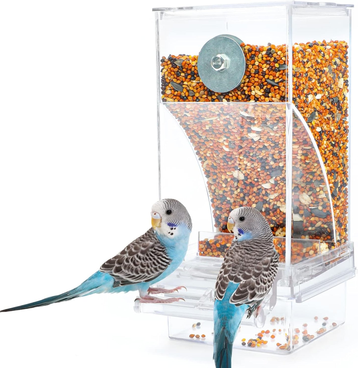 Spill-proof Bird Feeder