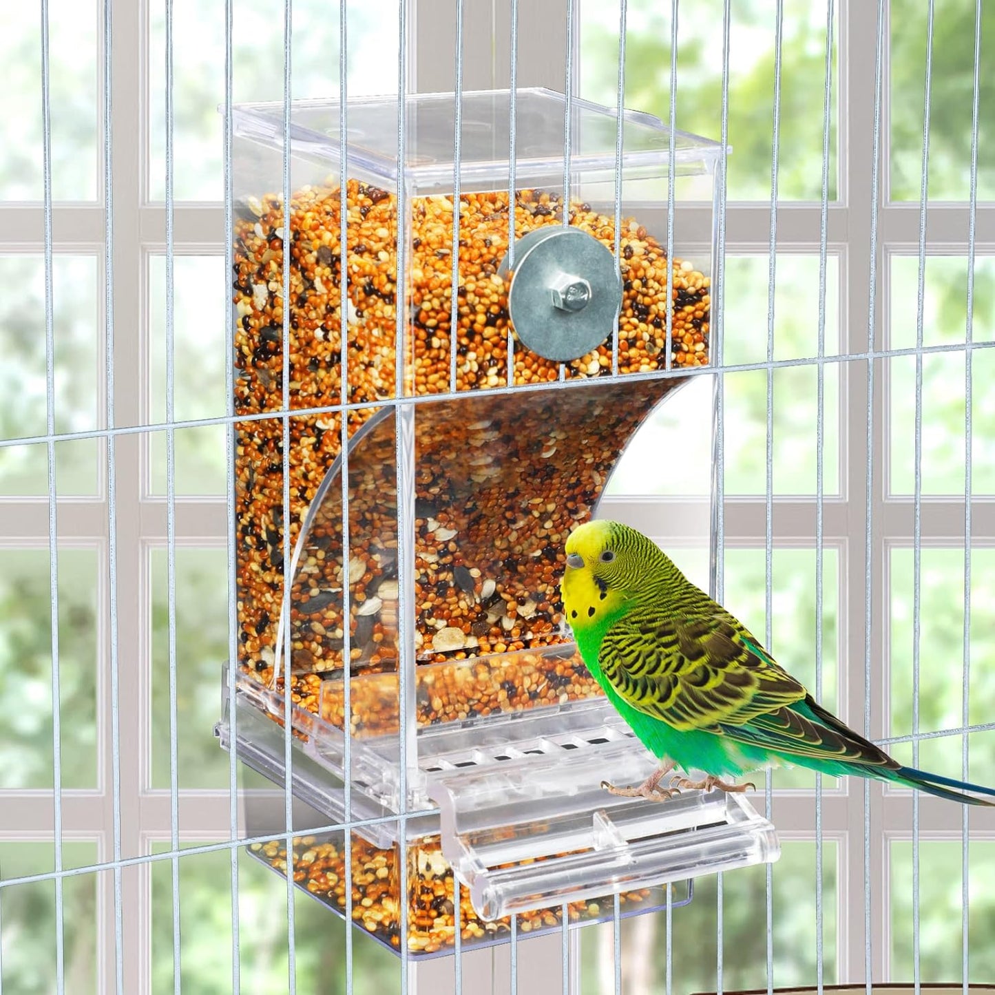 Spill-proof Bird Feeder