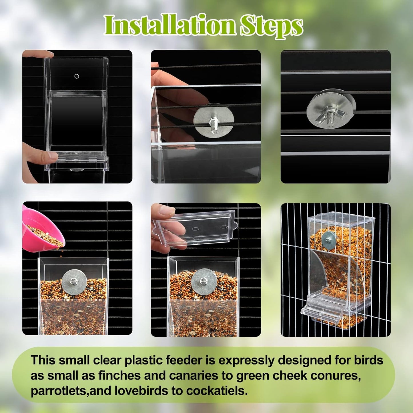 Spill-proof Bird Feeder