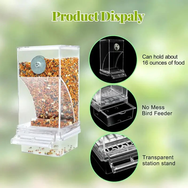 Spill-proof Bird Feeder